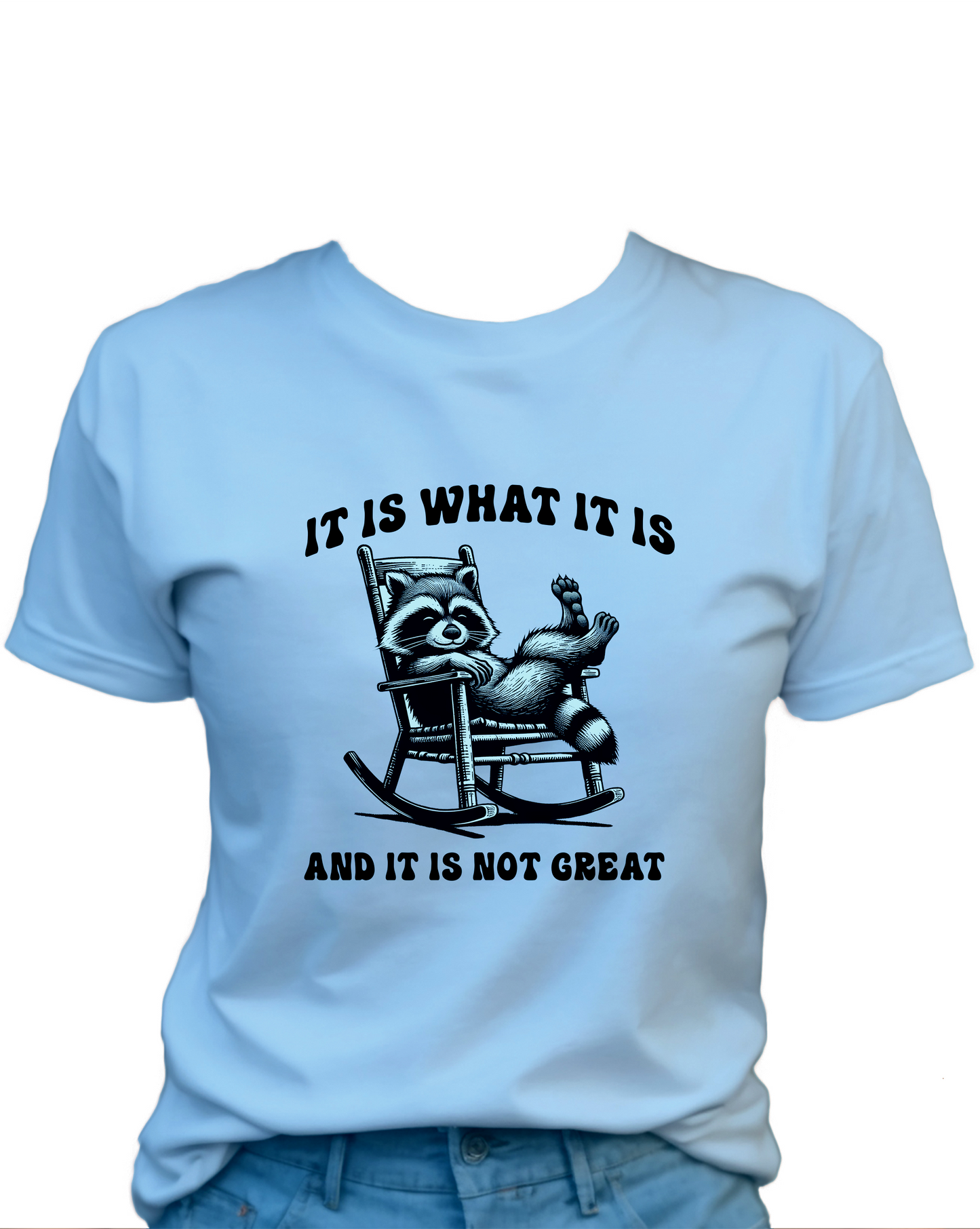 It Is What It Is, And It Is Not Great T-Shirt , Funny Cute Women's Graphic Shirt, 0104