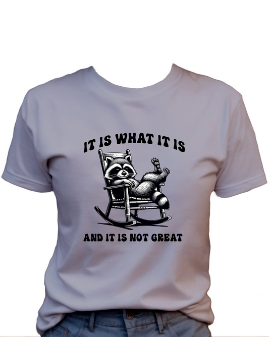 It Is What It Is, And It Is Not Great T-Shirt , Funny Cute Women's Graphic Shirt, 0104