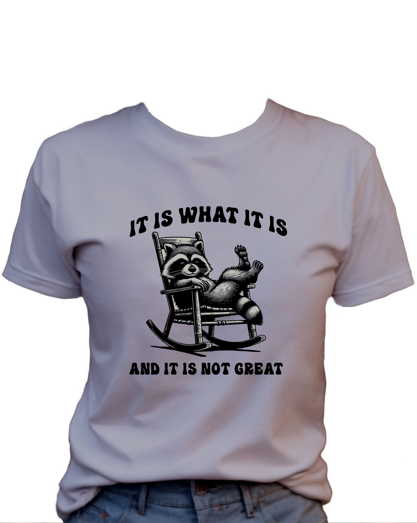 It Is What It Is, And It Is Not Great T-Shirt , Funny Cute Women's Graphic Shirt, 0104