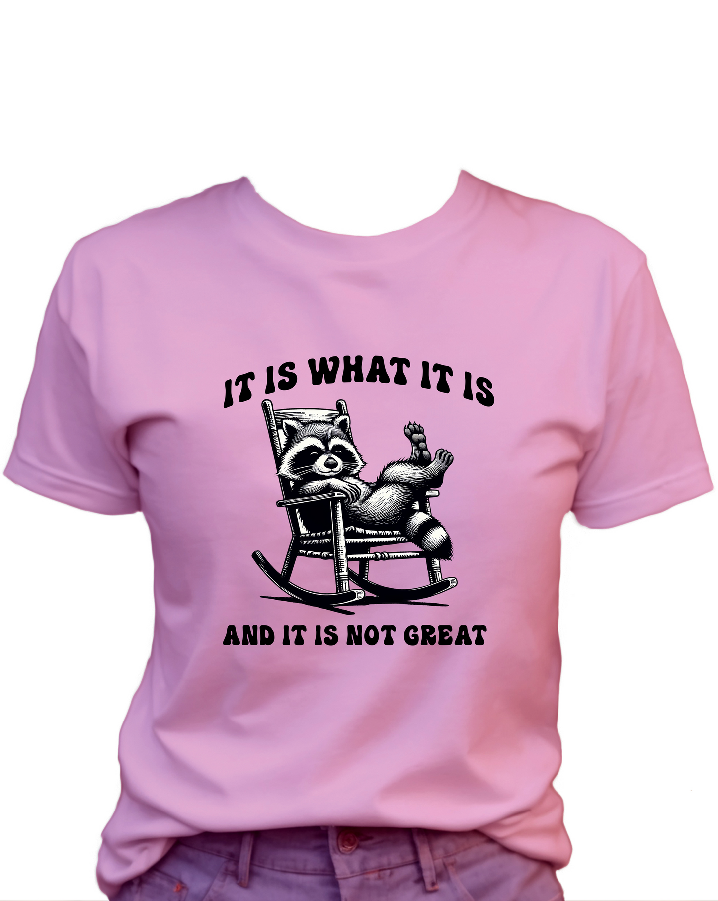 It Is What It Is, And It Is Not Great T-Shirt , Funny Cute Women's Graphic Shirt, 0104