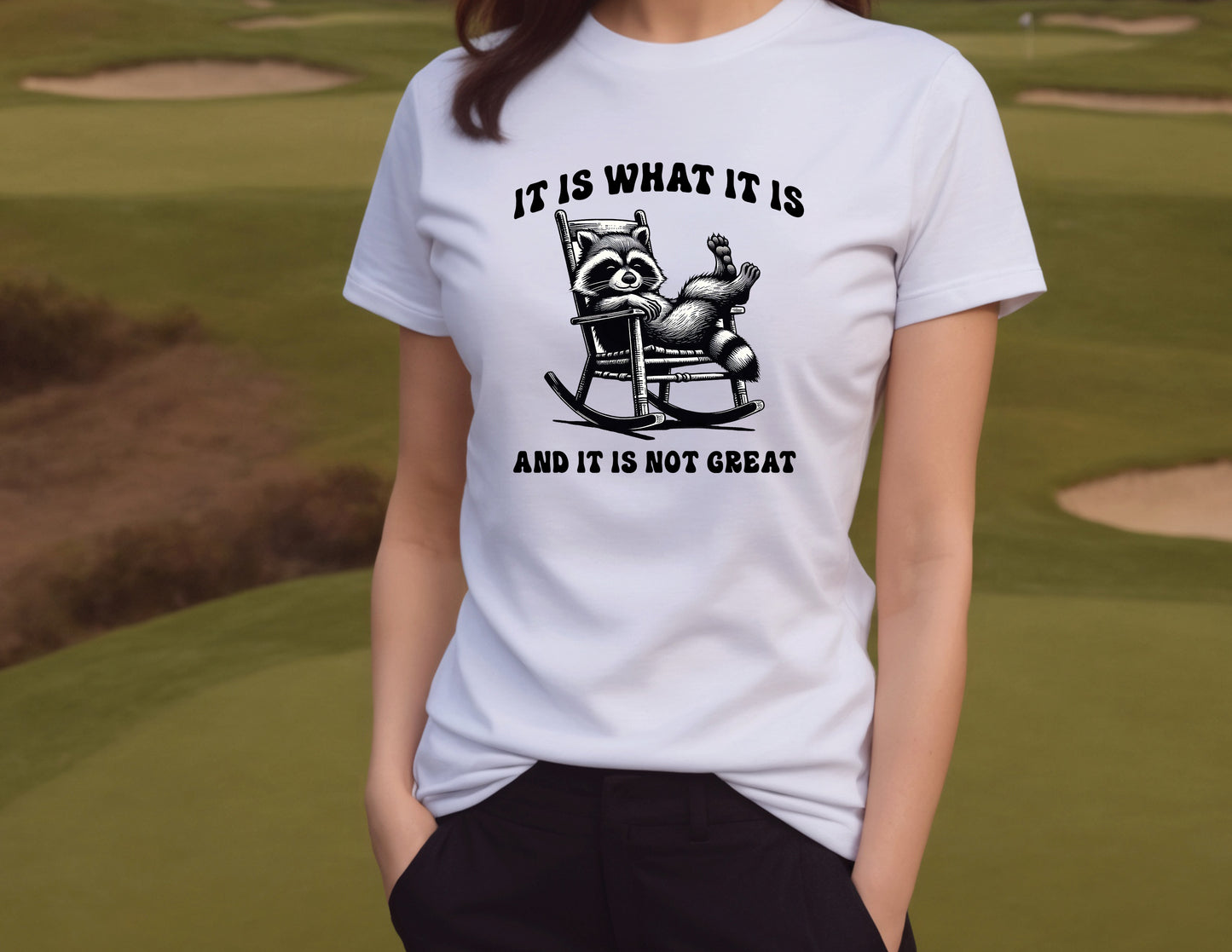 It Is What It Is, And It Is Not Great T-Shirt , Funny Cute Women's Graphic Shirt, 0104